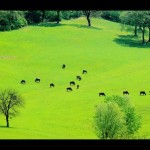 campagna-umbra-big