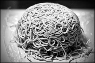 Il cervello di un italiota medio a nudo spaghetti brain