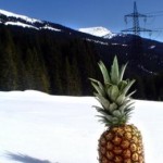 ananas-260 ananas-260