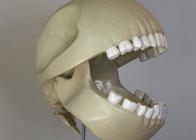 Scheletro di paffutellone Pac Pix
