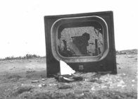 tv tv