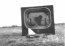 tv 65 tv 65