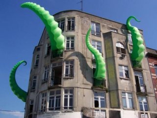 Octopus