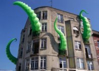 Octopus Octopus