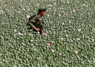 Afghanistan Afghanistan