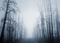 The Road. The Road